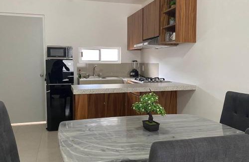 Tampico Apartamento | Moderno Departamento Paseo la Cortadura en Tampico