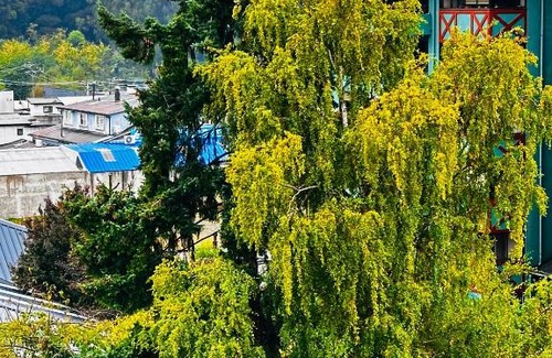 Osorno Apartamento | Moderno y equipado departamento