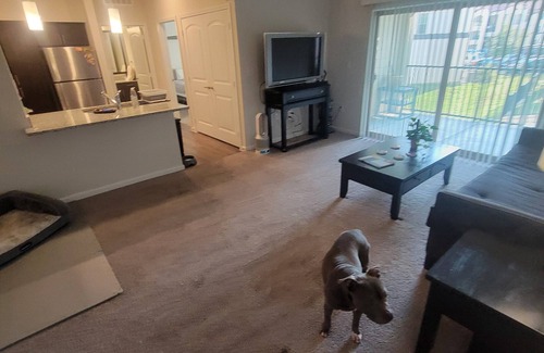 McNeil Apartamento | Modest 1 Bedroom 1 Bathroom Apartment on the 2nd floor. Wi-Fi and Cable included