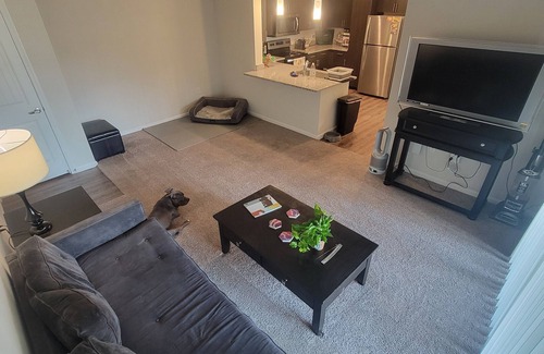 McNeil Apartamento | Modest 1 Bedroom 1 Bathroom Apartment on the 2nd floor. Wi-Fi and Cable included