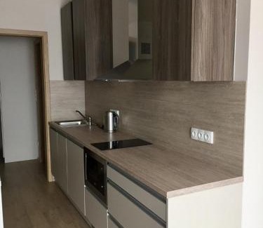 Dolni Morava Apartamento | Modrý Apartmán