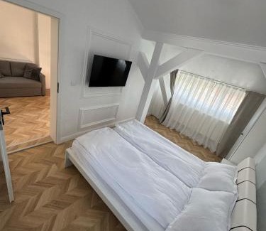 Oradea Apartamento | Moft Hotel Apartments Free Parking Self Check-In