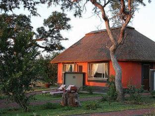 Hoedspruit Cabina | Mohlabetsi Safari Lodge