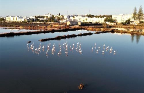 Olhao Casa | Moinhos das Marés