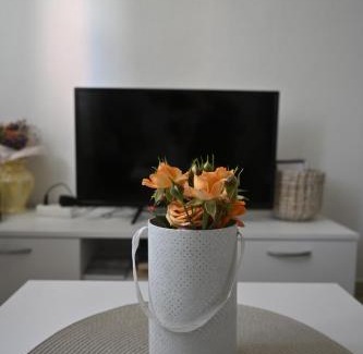 Knjazevac Apartamento | Mokino bunarče