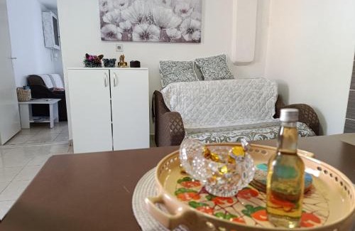 Knjazevac Apartamento | Mokino bunarče