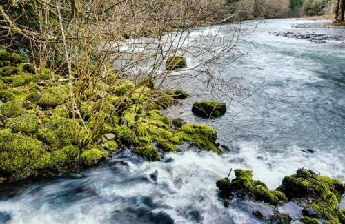 Molalla Casa | Molalla River Cottage