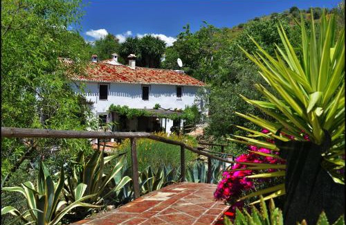 Riogordo Casa | Molino de Las Tablas