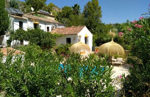 Benaojan Casa | Molino del Caracol