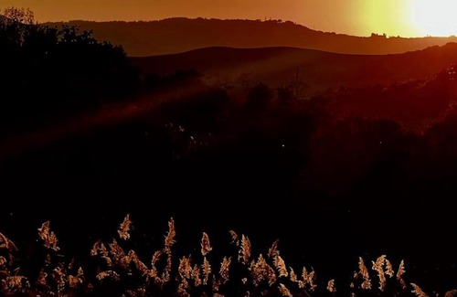 San Quirico d'Orcia Apartamento | Molino della Tuoma