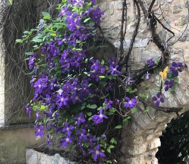 Asso Casa | Molino Valsecchi 1369