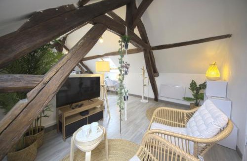 Sens Apartamento | Mon Rêve - By BEST KEYS - Loft Cosy & Charme Authentique - Poutres Apparentes - Centre Ville - Netflix & WiFi Fibre - Smart TV - Machine à Café Nespresso - Check-in Autonome - Parking Facile & Gratuit