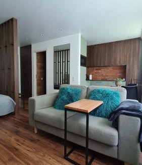 Telsiai Apartamento | Mona Apartamentai
