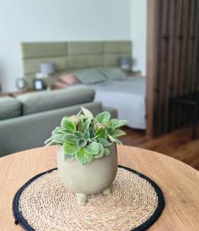 Telsiai Apartamento | Mona Apartamentai
