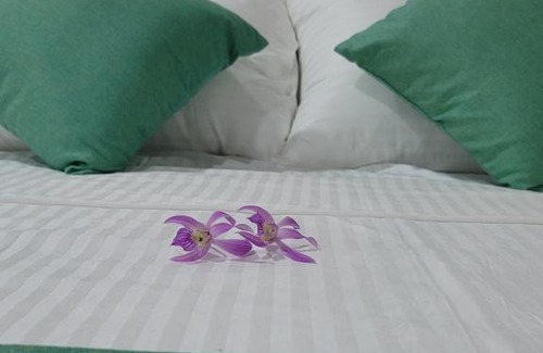 Imaduwa Casa | Monara house