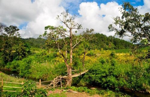 Huai Makhuea Som Casa | Mong Homestay Resort