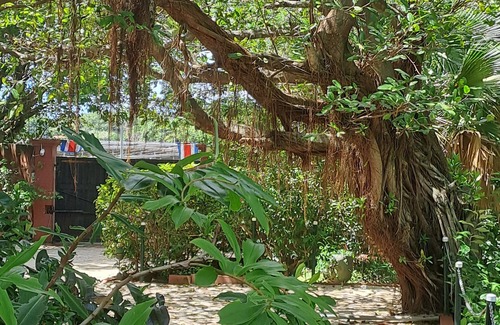 Tamarindo Apartamento | Mono confortable studio with separated kitchen and bedroom.