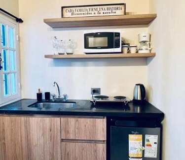 Centro de la ciudad de Mendoza Apartamento | Monoambiente Luminoso con Pileta y asador