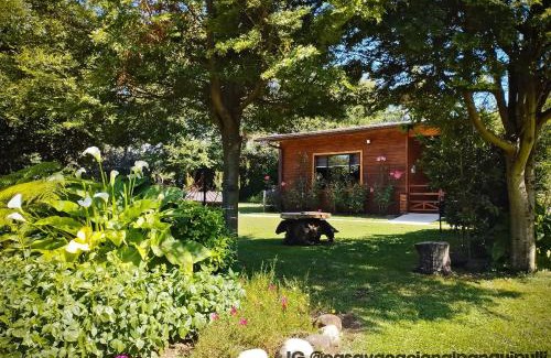 Panguipulli Apartamento | Monoambiente Panguipulli