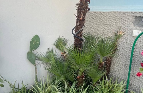 Pollena Trocchia Apartamento | Monolocale in Residenza Storica Wi-fi Stazione Circumvesuviana Pollena Trocchia