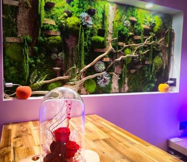 Mont-Saint-Michel-Normandie Apartamento | Mont Evasion Spa