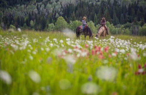 Bridge Lake Complejo | Montana Hill Guest Ranch