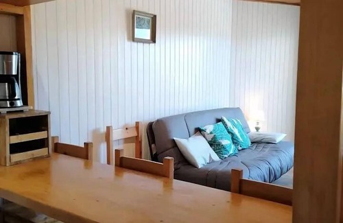 Cognet Apartamento | Montana Residence - Apartment 2 rooms for 6 people of 44m2 - Huez's Alpe