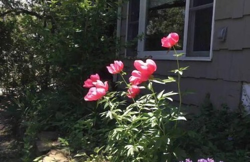 Culloden Shores Apartamento | Montauk’s Secret Private Spot