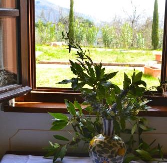 Pescia Casa | Monte A Pescia