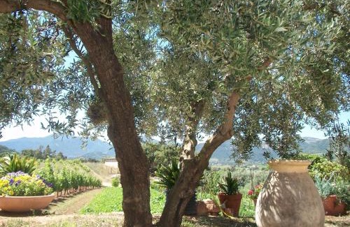 Lanusei Apartamento | Monte Astili