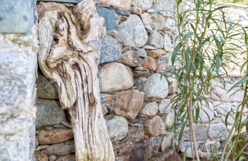 Moltifao Casa | LA CASA DE PIEDRA CORSE DEL CENTRO DE ALBARELLA CERCA DE ASCO GORGES