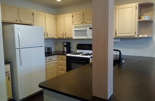 Steamboat Springs Casa | Monthly - Comfy Pet Friendly Townhome between Town and Mountain