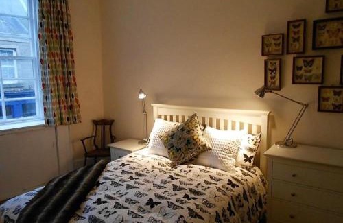 Selkirk Casa | Montrose Apartment