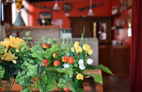 La Pietraia Casa | Mony's Island B&B