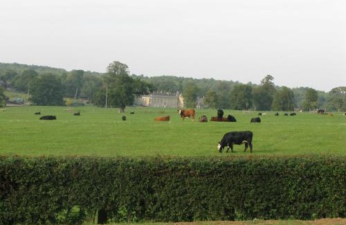 Castle Bytham Casa | Moo Cow Cottage Self Catering