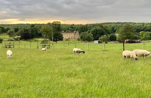 Castle Bytham Casa | Moo Cow Cottage Self Catering