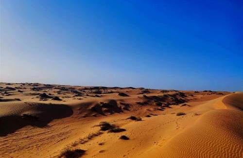 Bidiya Otro | Moon Light Luxury Camp