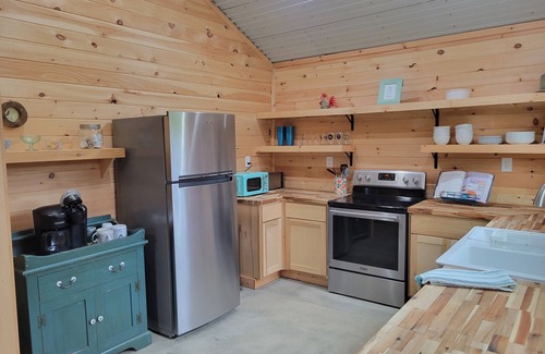 Rydal Cabina | Moon tree cabin 🌙🌲 2-bedrooms in Rydal, close to Buc-ee's! Outside shower!