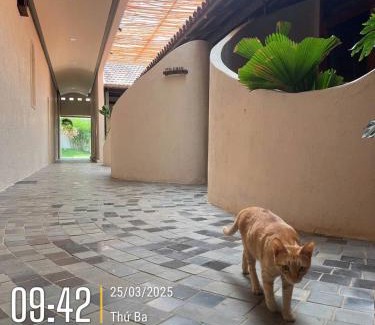 Pleiku Hotel | MOONLIGHT Homestay & Hotel