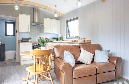 Bradninch Cabaña | Moor Hen Shepherd Hut - UK33888