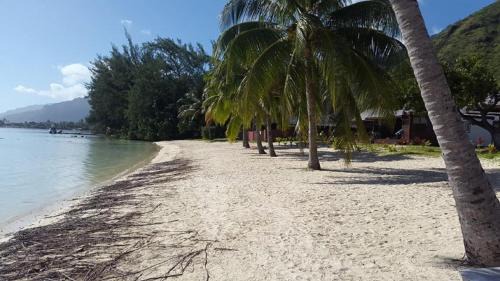 Moorea-Maiao Casa | MOOREA - Fare Taina Dream