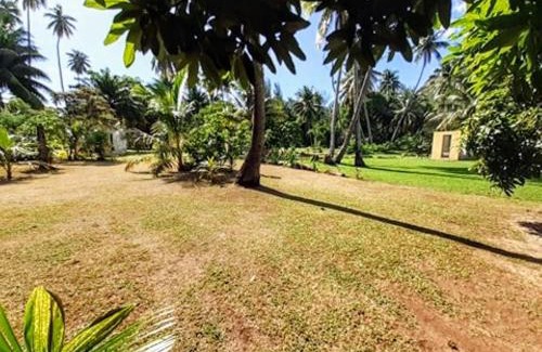 Moorea-Maiao Casa | MOOREA - Local Spirit 6