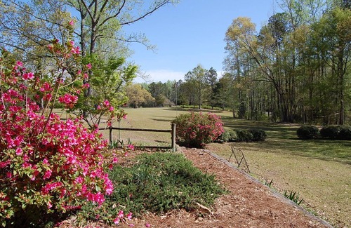 Auburn - Opelika Casa | Acogedor refugio de invierno en 8 acres, ideal para grandes grupos! 3 minutos a restaurantes