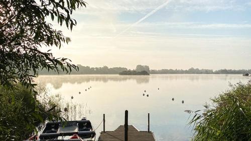Cirencester Casa | Moorhens