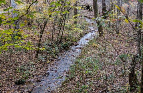 Sylva Casa | Moose Creek Lodge