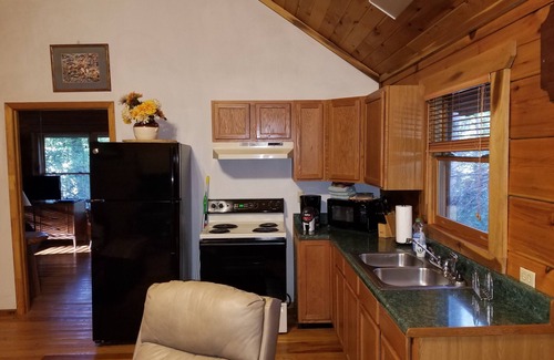 Waynesville Cabina | Moose Crossing Tall Woods Cabin, number 3