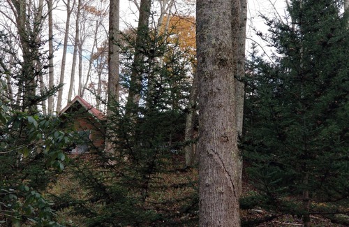 Waynesville Cabina | Moose Crossing Tall Woods Cabin, number 3