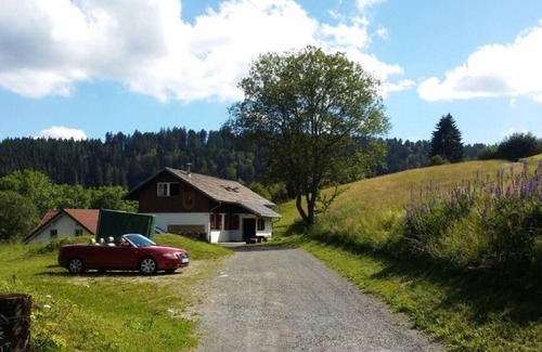Todtmoos Apartamento | Moosybärhütte, alojamiento para grupos de hasta 31 personas