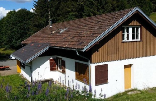 Todtmoos Apartamento | Moosybärhütte, alojamiento para grupos de hasta 31 personas