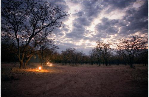 Weipe Cabina | Mopane Bush Lodge